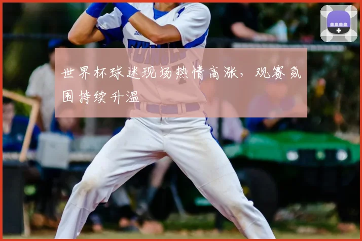 世界杯球迷现场热情高涨，观赛氛围持续升温