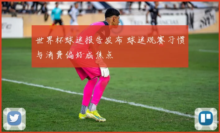 世界杯球迷报告发布 球迷观赛习惯与消费偏好成焦点
