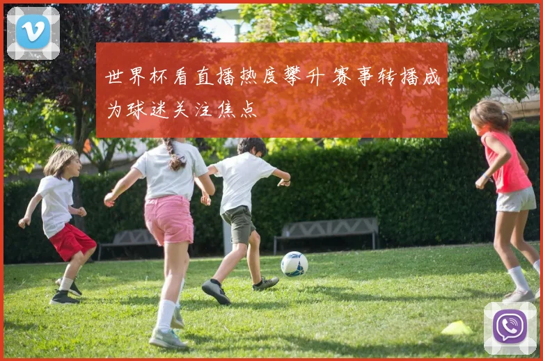 世界杯看直播热度攀升 赛事转播成为球迷关注焦点