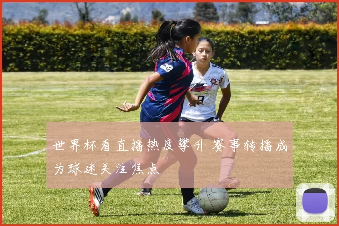世界杯看直播热度攀升 赛事转播成为球迷关注焦点