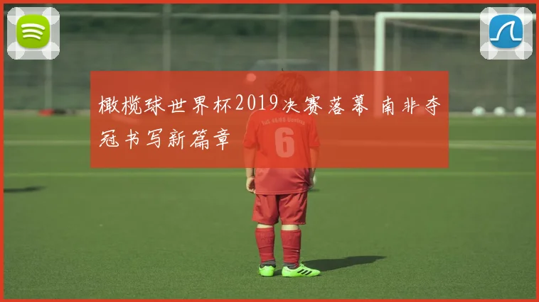 橄榄球世界杯2019决赛落幕 南非夺冠书写新篇章
