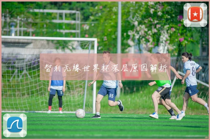智利无缘世界杯深层原因解析