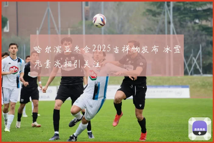 哈尔滨亚冬会2025吉祥物发布 冰雪元素亮相引关注