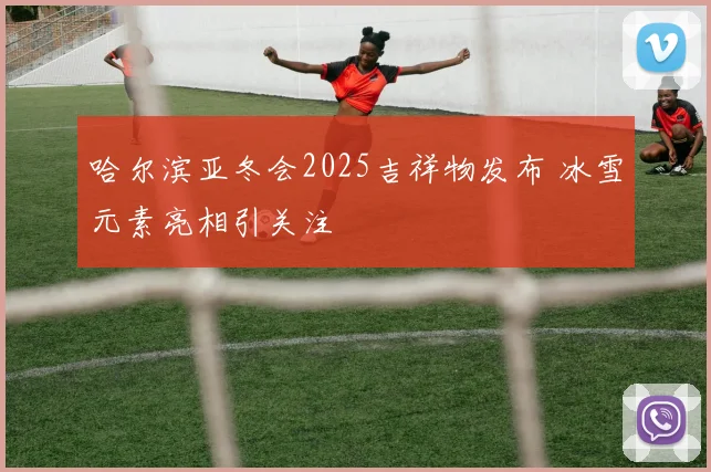 哈尔滨亚冬会2025吉祥物发布 冰雪元素亮相引关注