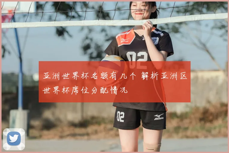 亚洲世界杯名额有几个 解析亚洲区世界杯席位分配情况