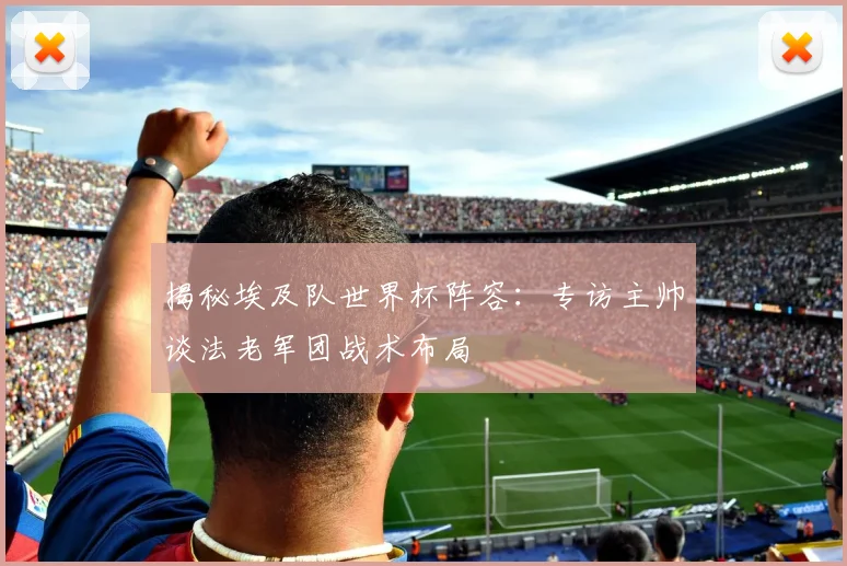 揭秘埃及队世界杯阵容:专访主帅谈法老军团战术布局