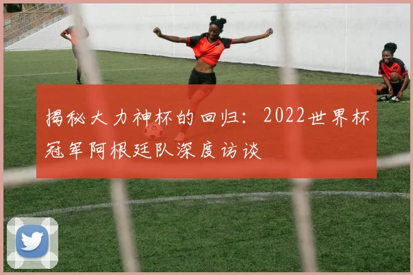 揭秘大力神杯的回归：2022世界杯冠军阿根廷队深度访谈