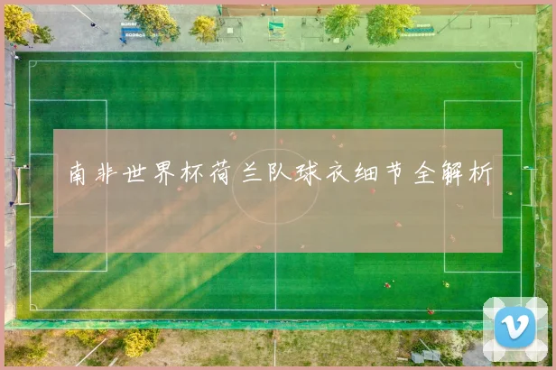 南非世界杯荷兰队球衣细节全解析