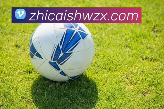 hth网址平台生态图