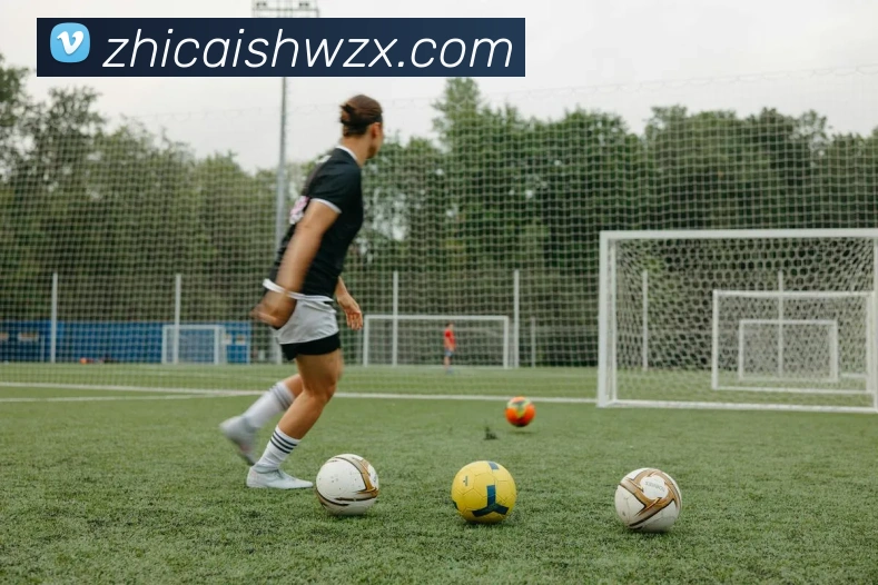 hth网址APP 封面图